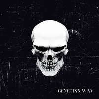 Genetixx.wav (slowed)