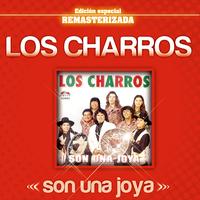 Te Voy A Olvidar