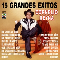 Mis Mejores Años