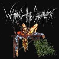 Chased Through the Woods by a Rapist - Demo 2006