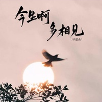 今生啊 多相见 - DJ女版