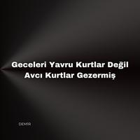 Geceleri Yavru Kurtlar Değil Avcı Kurtlar Gezermiş