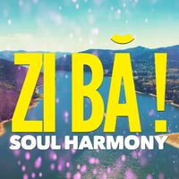 Zi ba