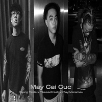 Mấy Cái Cúc