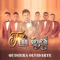 Quisiera olvidarte