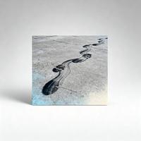 Cash Track Wind