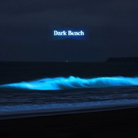 Dark Beach (Cover)