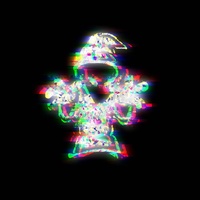 Not Responsible - Slowed