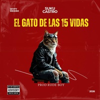 EL GATO DE LAS 15 VIDAS