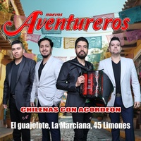 Chilenas Con Acordeon (El Guajolote La Marciana 45 Limones)