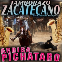 El Olotito