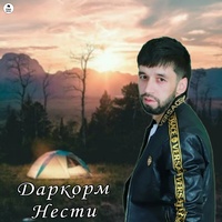 Даркорм Нести