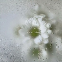 Monkeys Spinning Monkeys(纯享版)