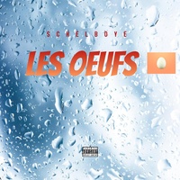 Les oeufs