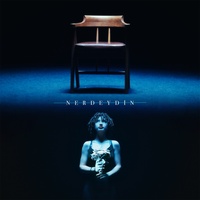 nerdeydin