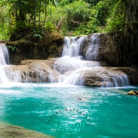 Forest Waterfalls