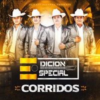 El 3