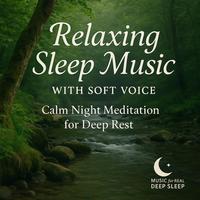Calm Night Meditation for Deep Rest
