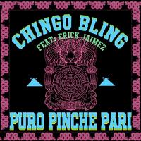 Puro Pinche Pari