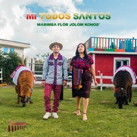 Mi Todos Santos
