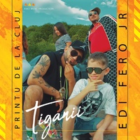Tiganii