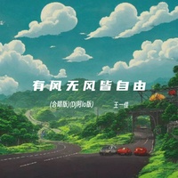有风无风皆自由 - DJ阿lo版合唱版
