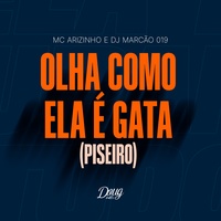 Olha Como Ela é Gata (Piseiro)
