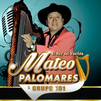 Solo Estoy Tomando