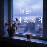 相遇才是意外 - 对唱版