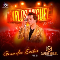 Amor Incomparable - En Vivo