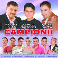 Capitanul
