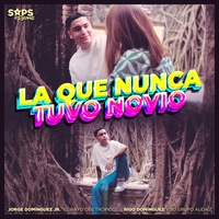 La Que Nunca Tuvo Novio