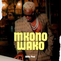 Mkono Wako