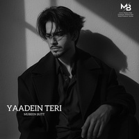 Yaadein Teri