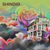 Shindig