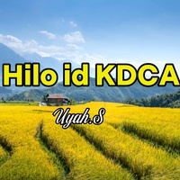 Hilo Id KDCA
