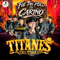 FUE TAN POCO TU CARIÑO