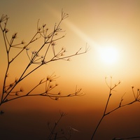 شاعر الإسلام