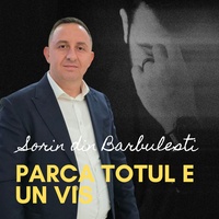 Parca totul e un vis