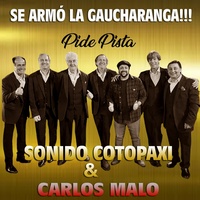 Pide Pista