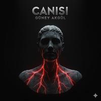 Canısı