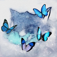 Frozen Butterfly -Filter Overdose ver.-