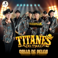 GALLO DE PELEA