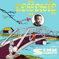 បងដើរក្នុងព្រៃ