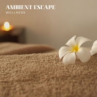 Spa Therapy Music