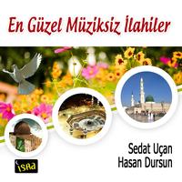 Nerdesin Ya Nebi