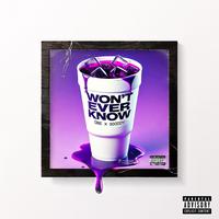 Won't Ever Know (feat. 9Goddy)