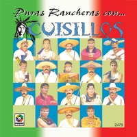 Vuela Paloma