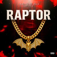 Raptor