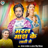 Maral Mash Ke Lathi Se ( DJ Remix )